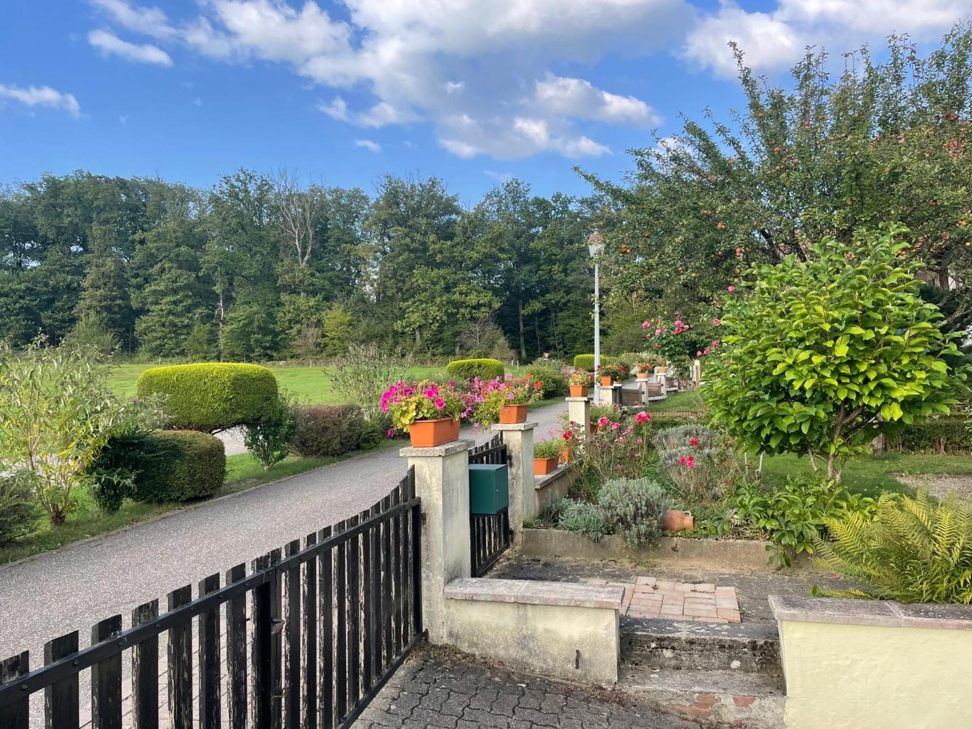 La Maison Des Roses Drachenbronn-Birlenbach المظهر الخارجي الصورة