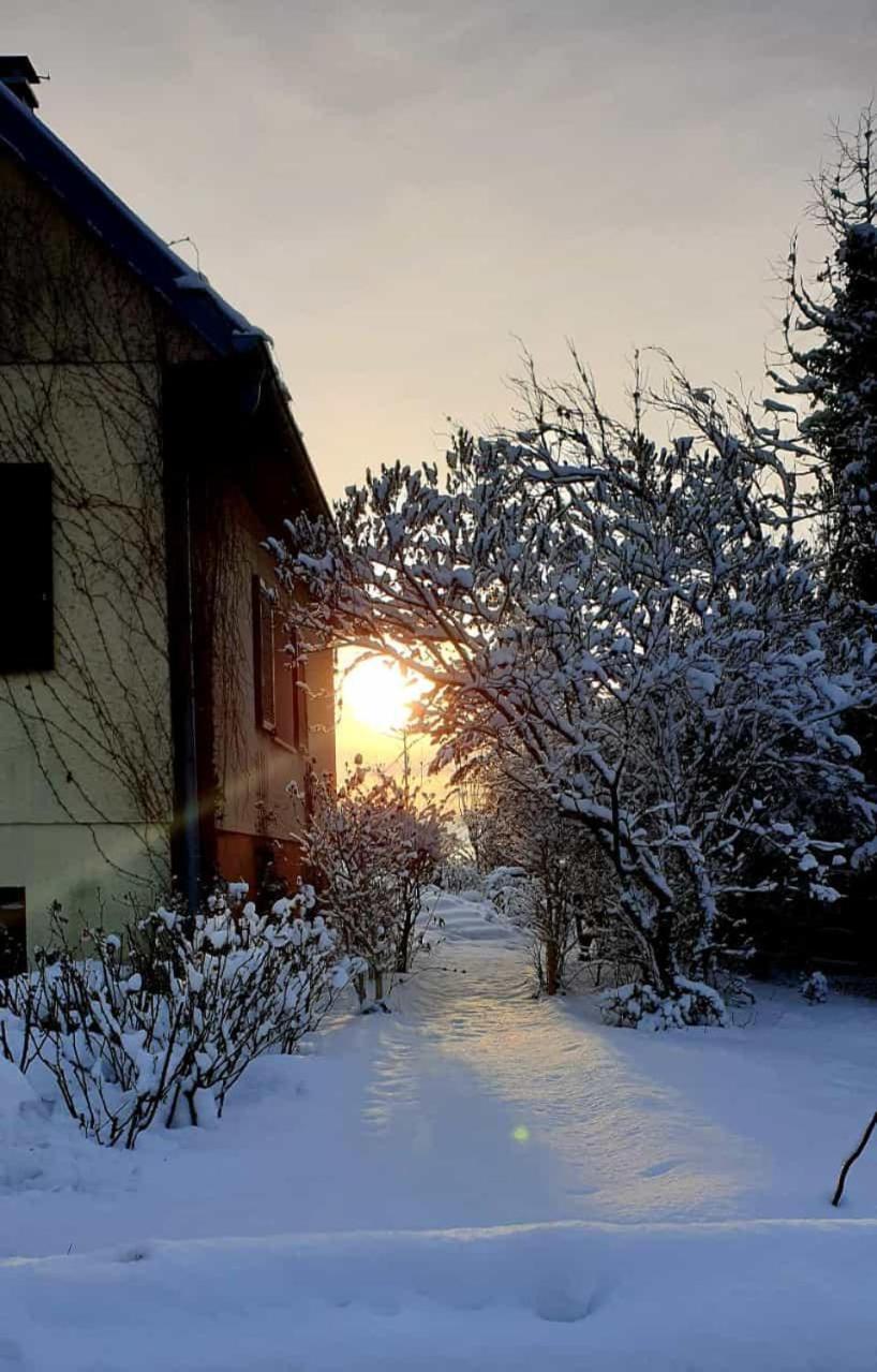 La Maison Des Roses Drachenbronn-Birlenbach المظهر الخارجي الصورة